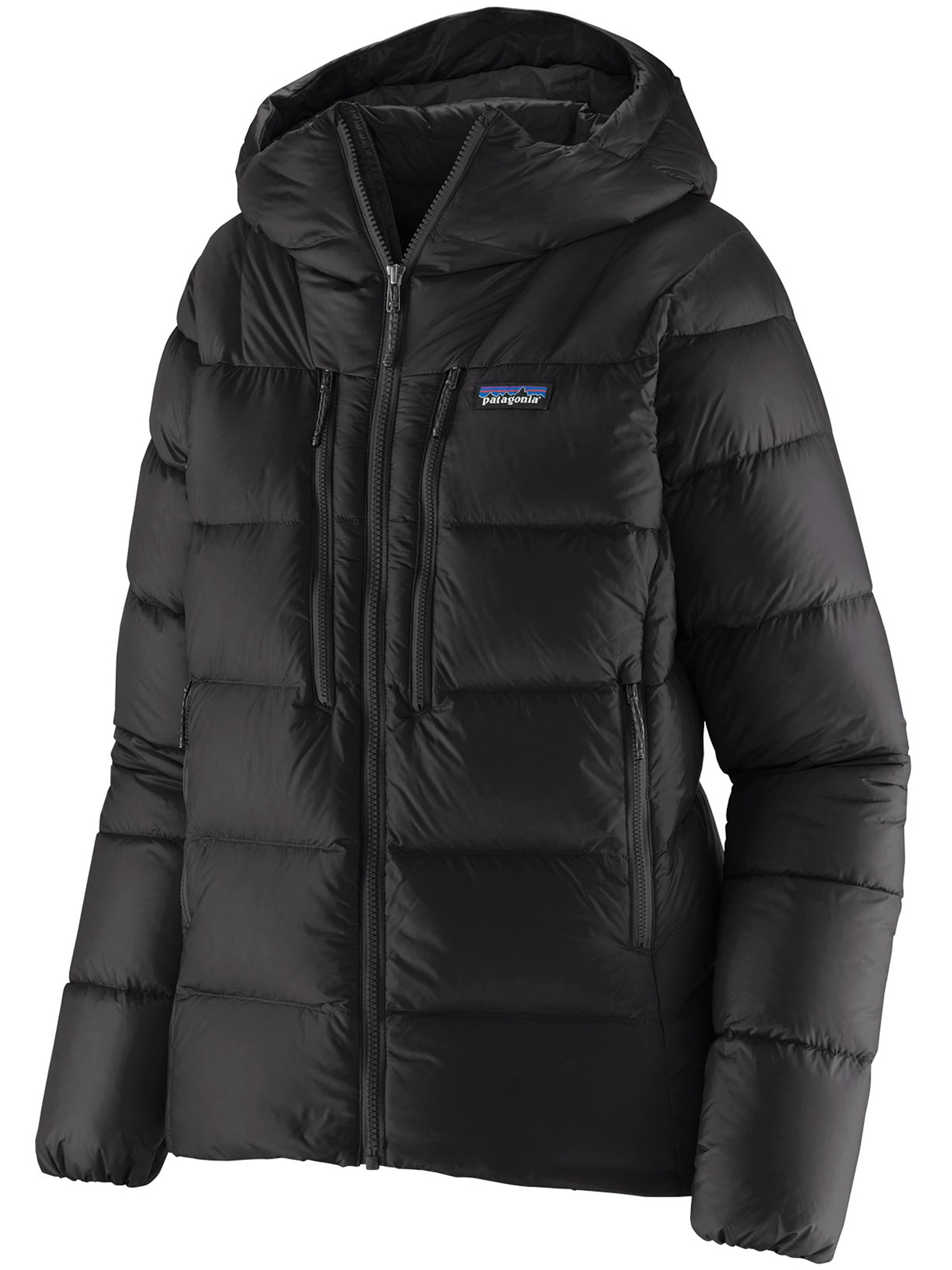 Patagonia Fitz Roy Down Hoody In Black