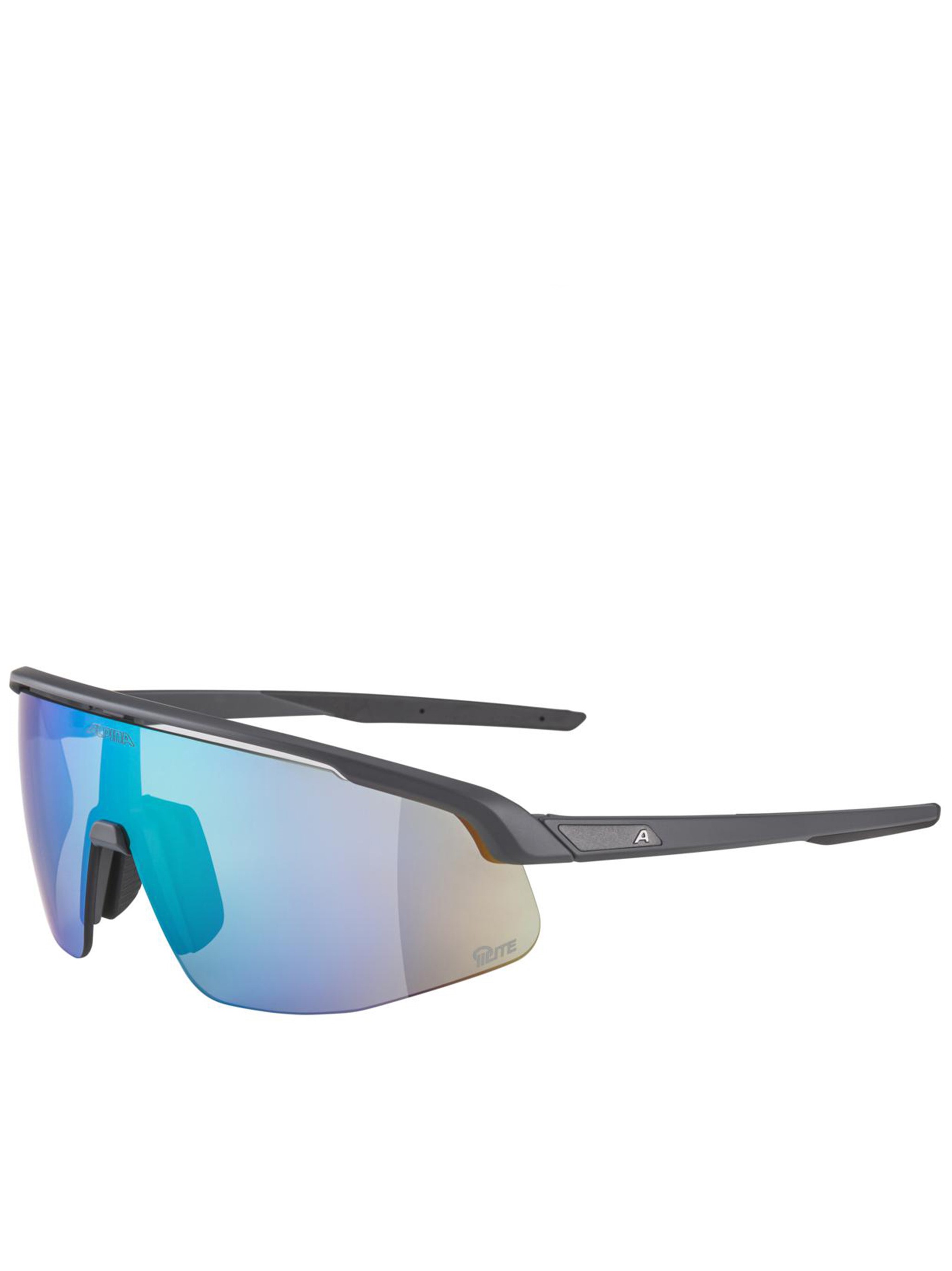 Alpina Turbo Pro Q-lite Glasses In Blue