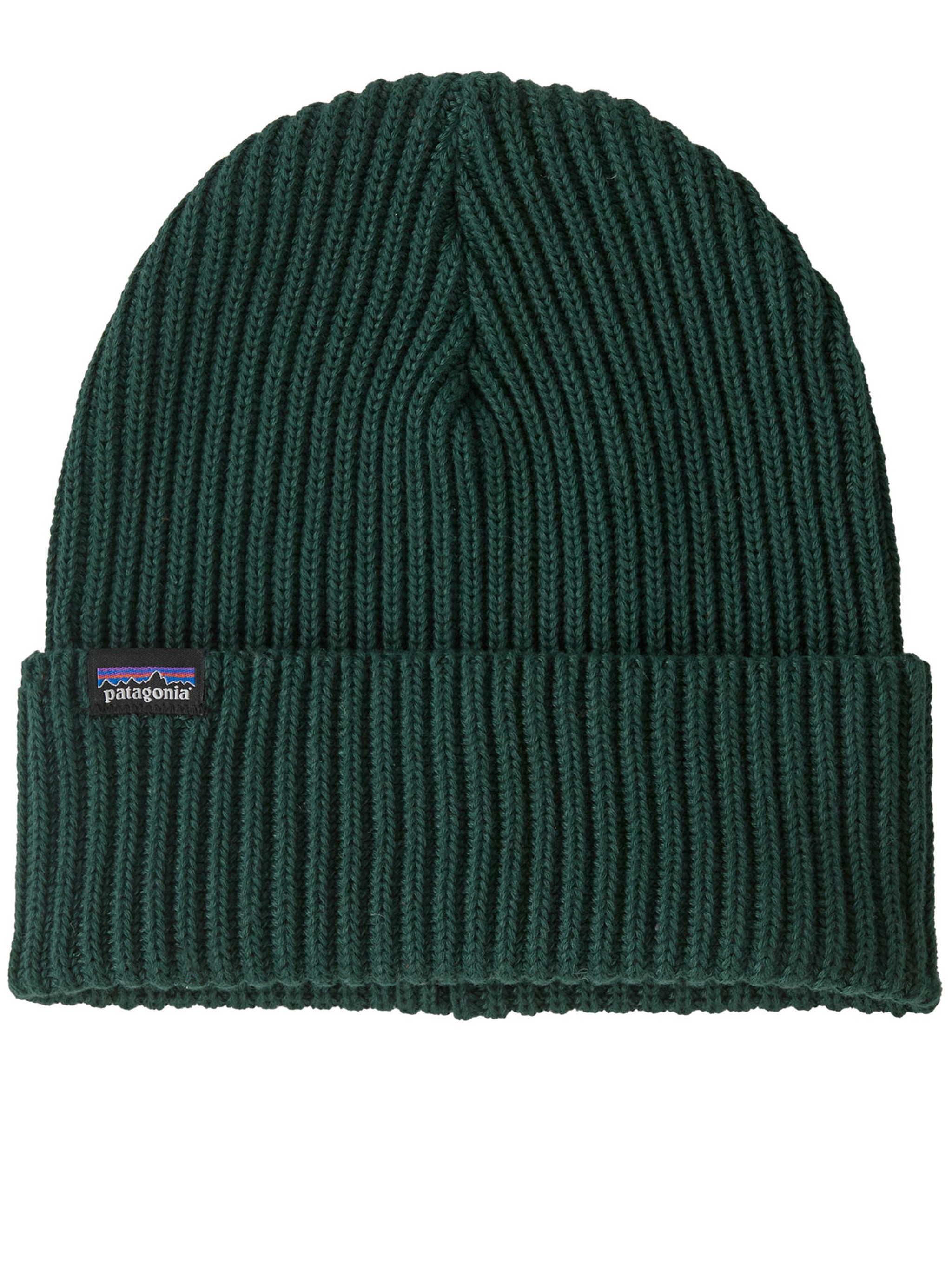 Patagonia Fishermans Rolled Beanie In Green