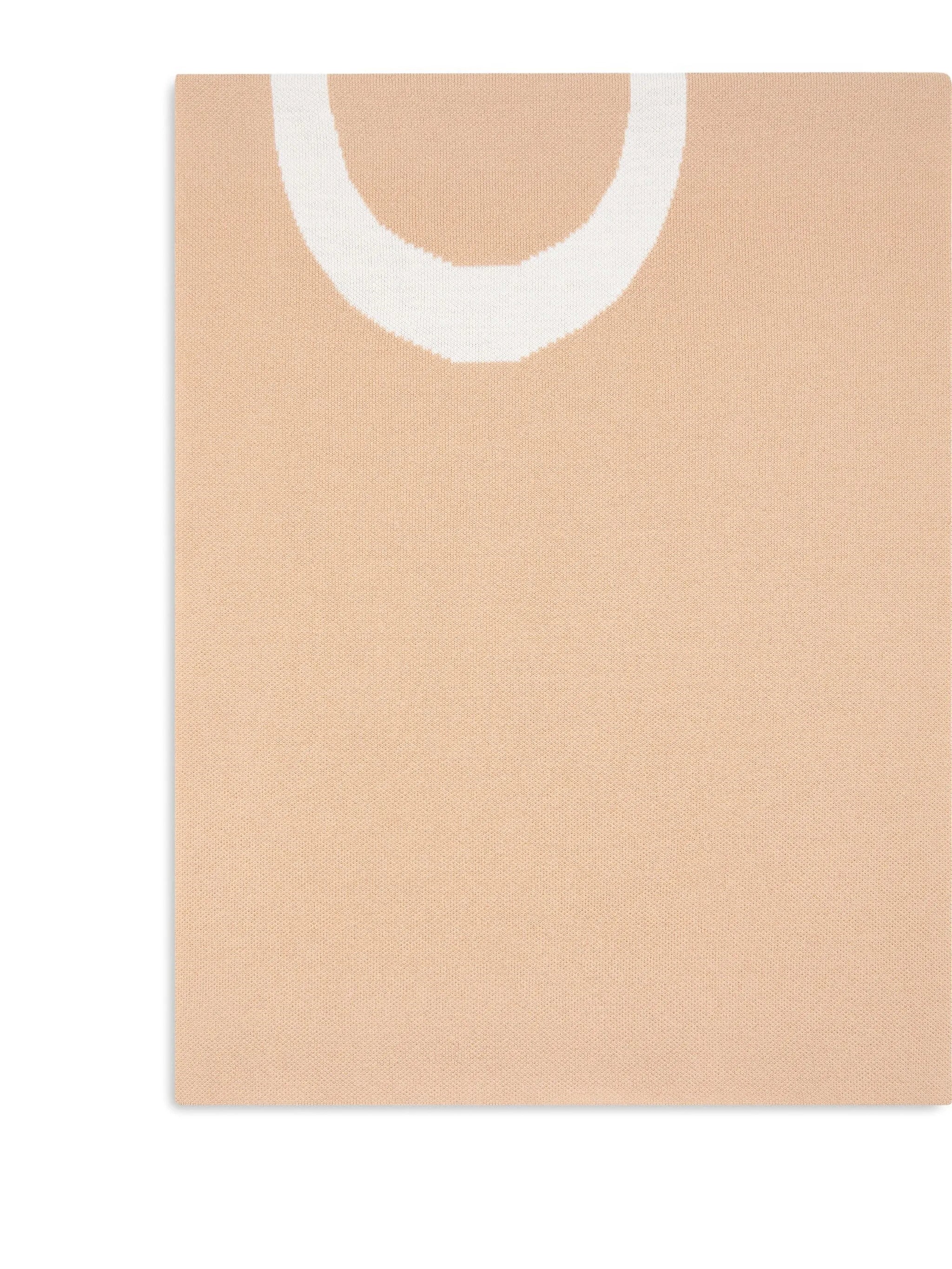 Pinko Beige Logo Scarf In Brown