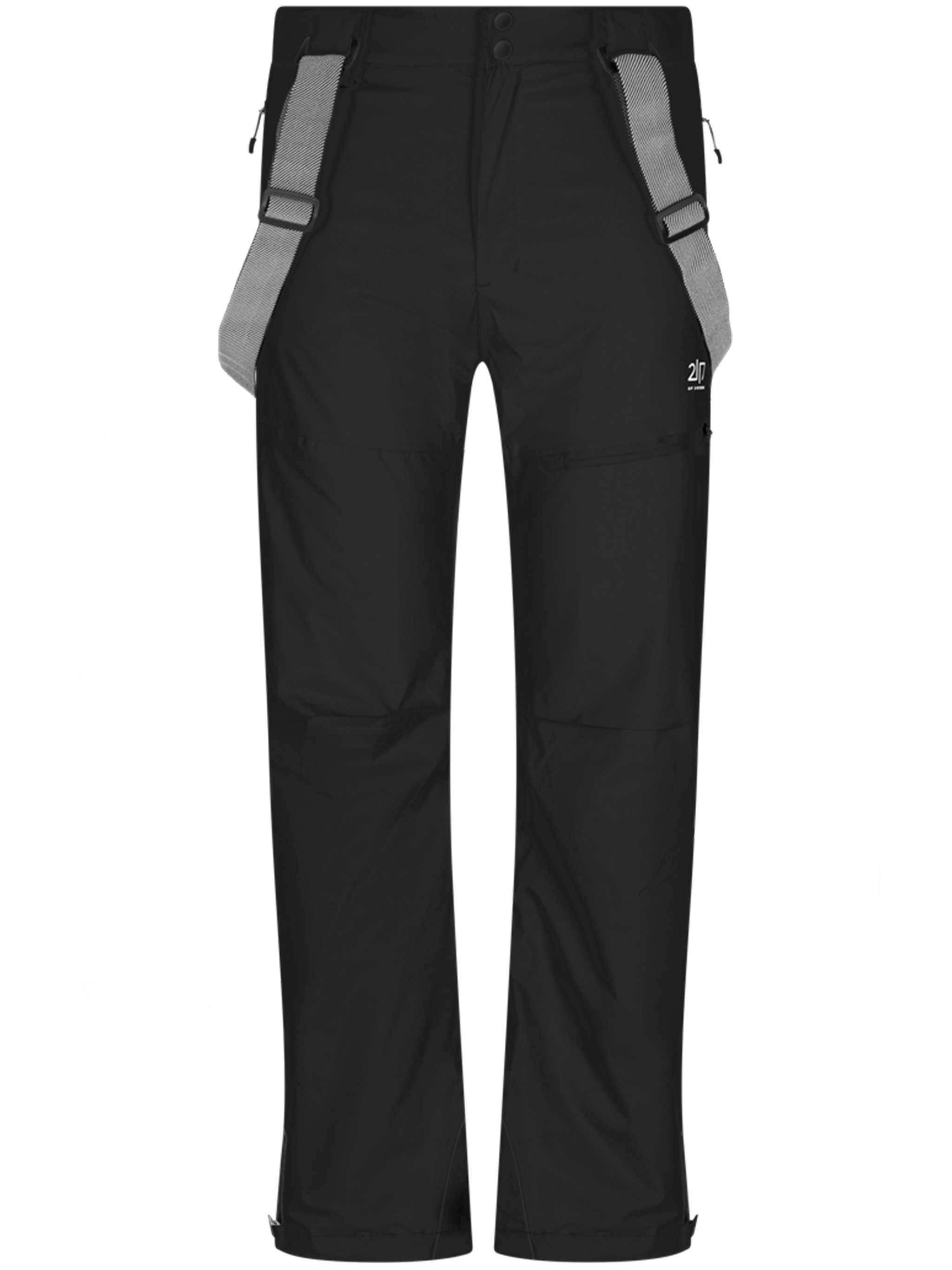 2117 Twentyone Seventeen Nausta Ski Pant In Animal Print