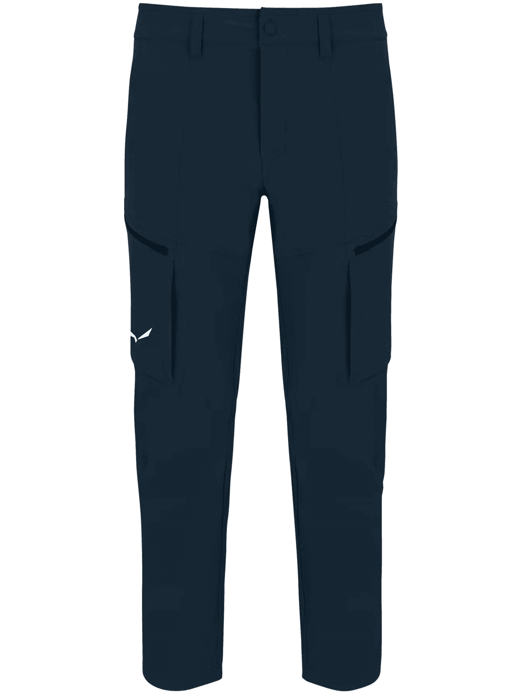 Salewa Puez Dst M Cargo Pants In Blue