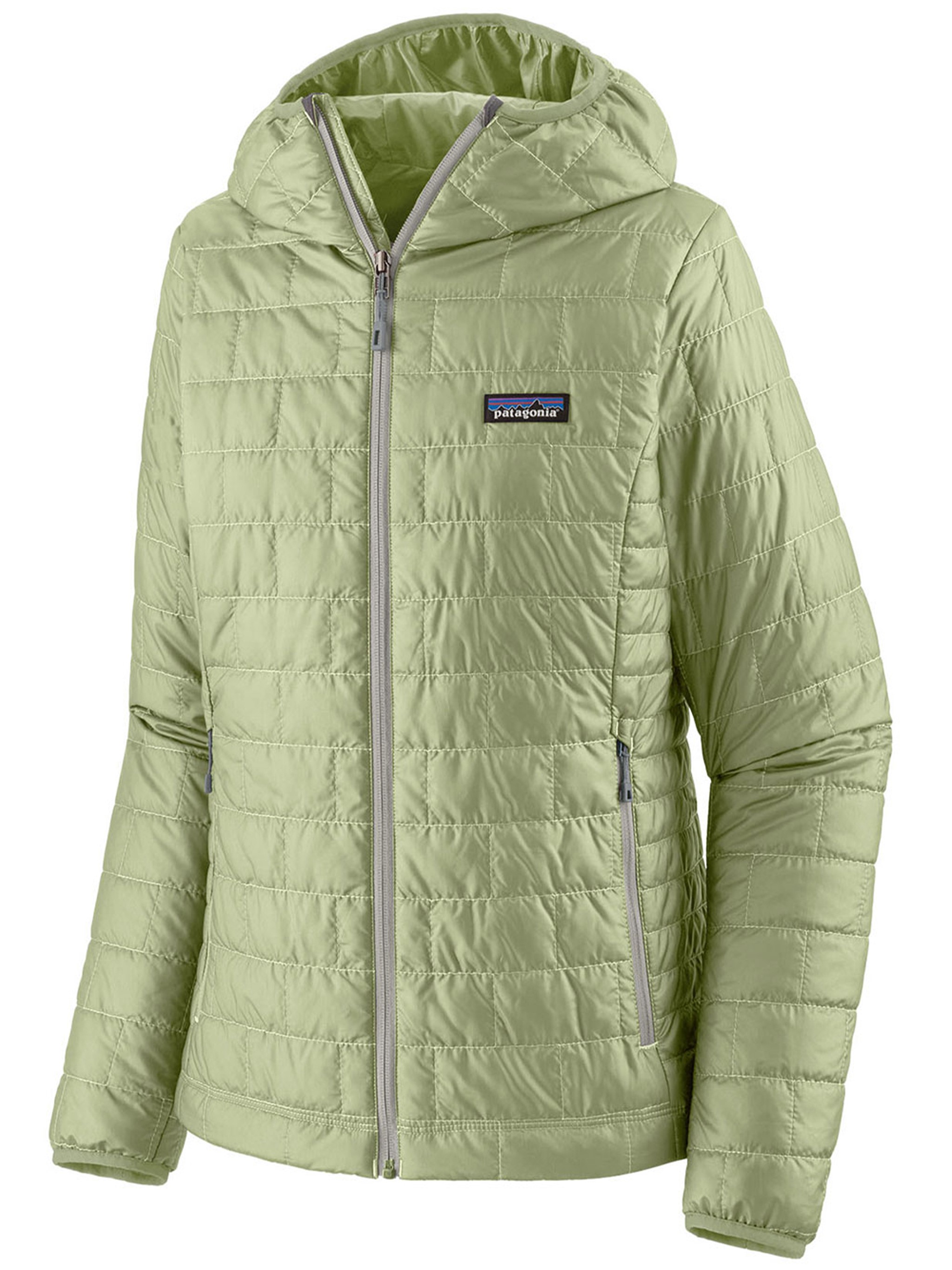 Patagonia Nano Puff Hoody In Green