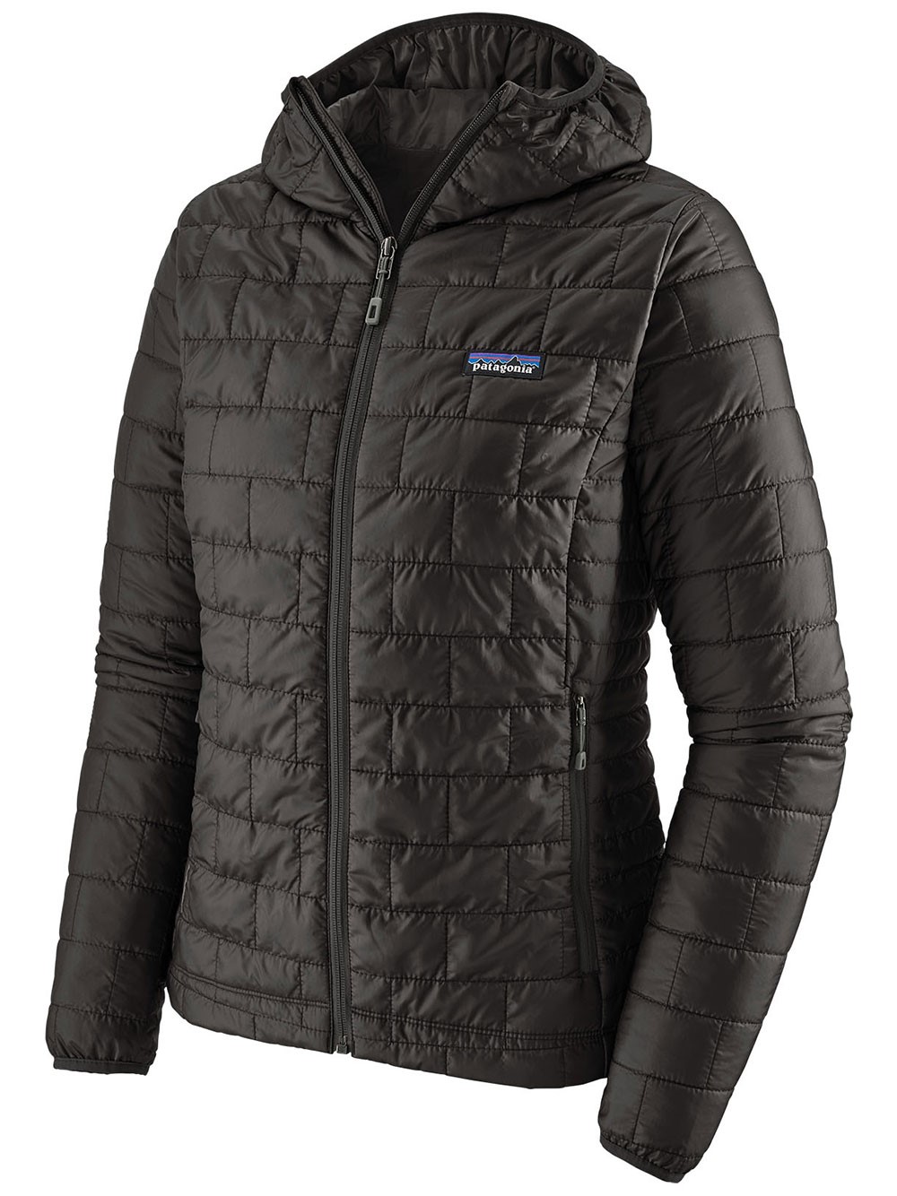 Patagonia Nano Puff Hoody In Black