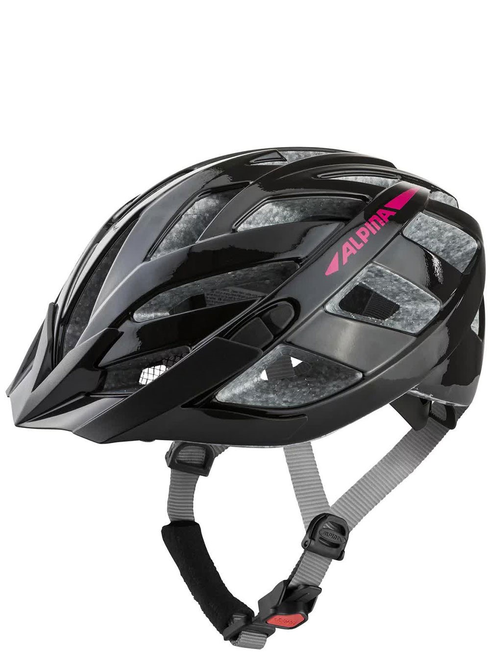 Alpina Panoma 2.0 In Black