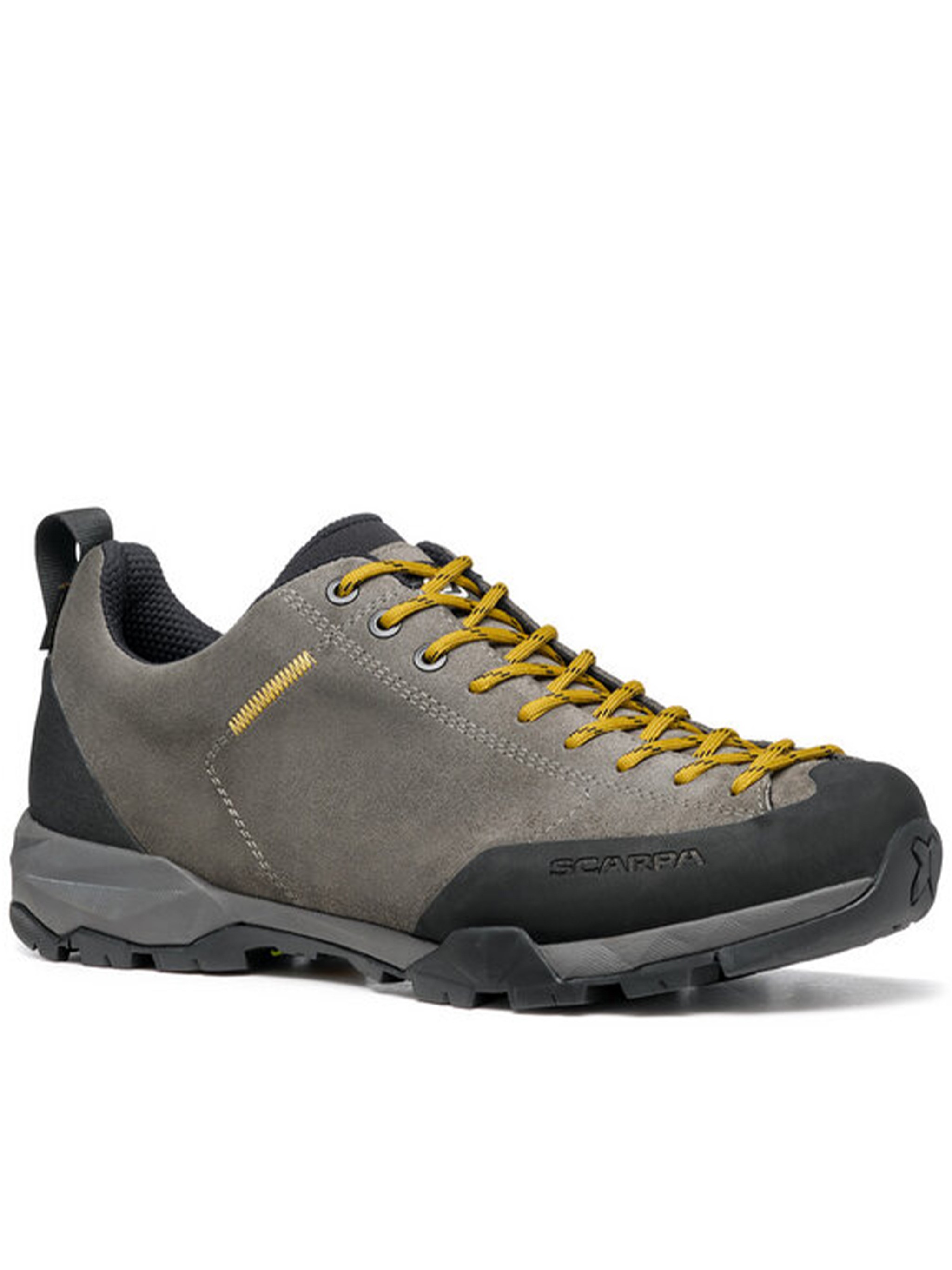 Scarpa Mojito Trail Gtx In Green