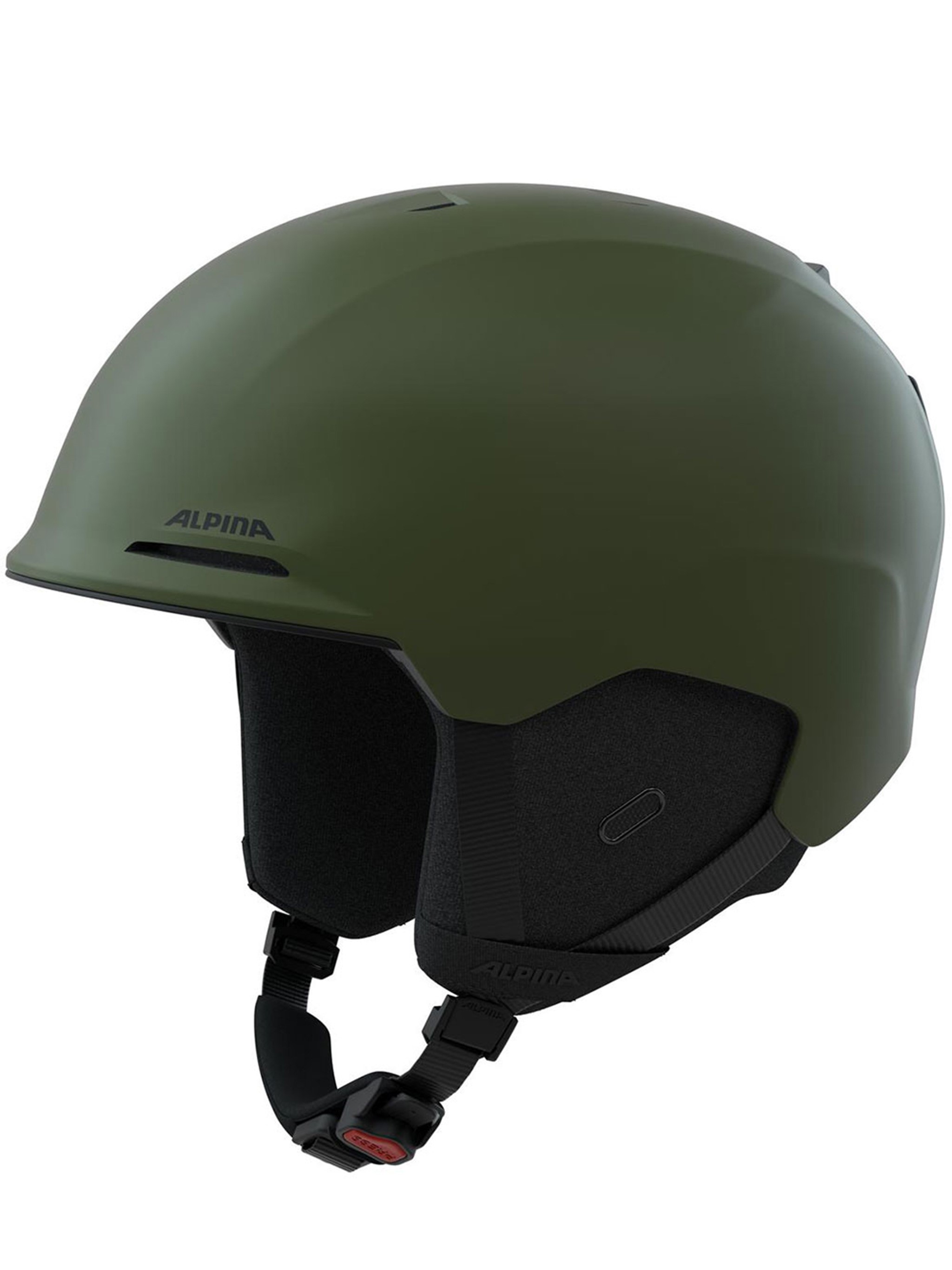 Alpina Brix Ski Helmet In Green